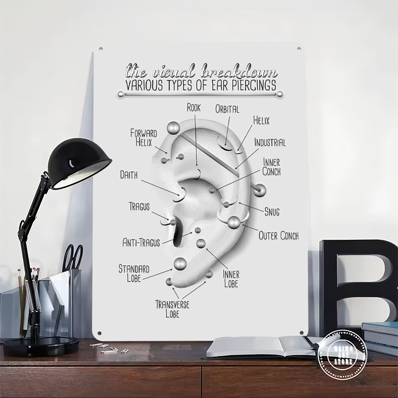 Плакат-схема для прокола ушей, – обзор и цена Desk Setup Poster