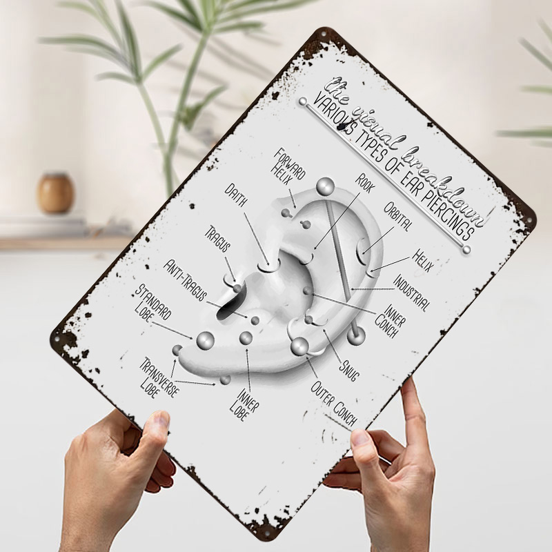 Плакат-схема для прокола ушей, – обзор и цена Desk Setup Poster