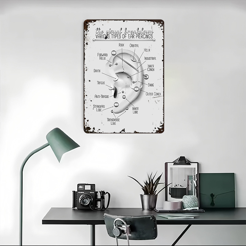 Плакат-схема для прокола ушей, – обзор и цена Desk Setup Poster